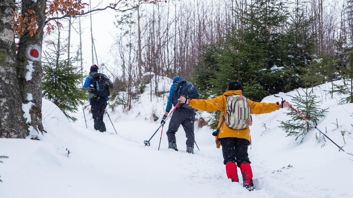 Schneeschuhwandern über drei Tausender