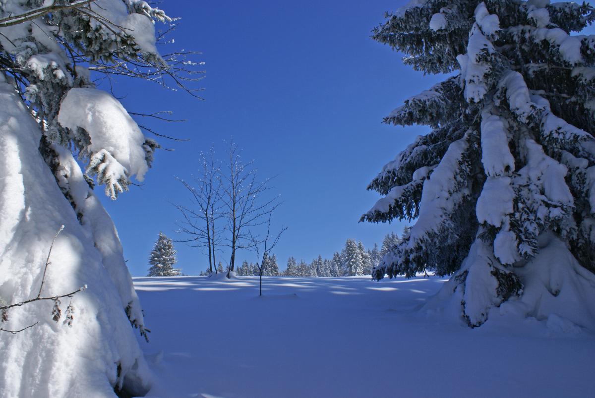 Winterwanderung von Ludwigsthal nach Bayerisch Eisenstein