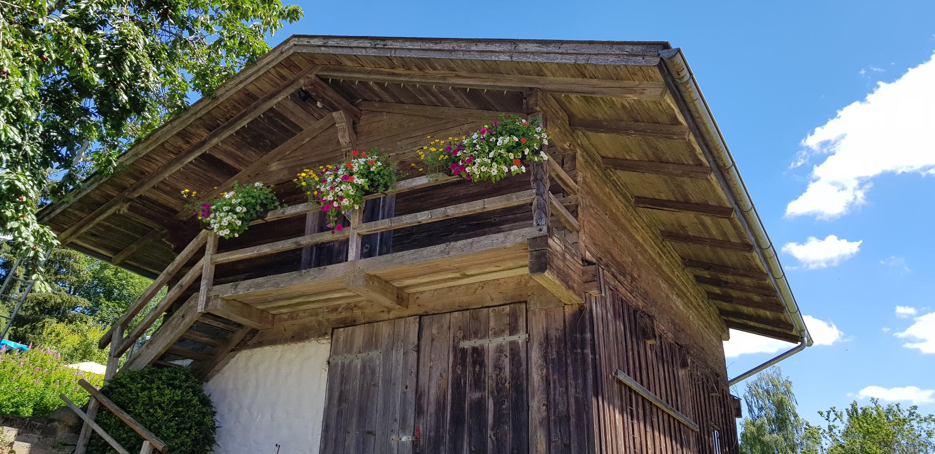 Bauernhof Zollner in Sankt Englmar