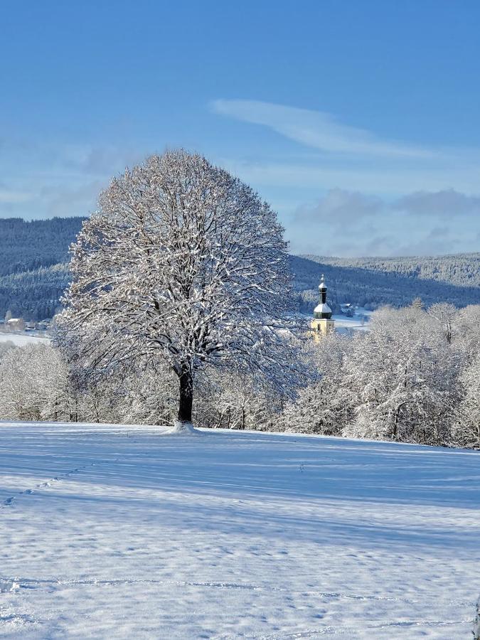 Ferienwohnungen Baur in Arnbruck