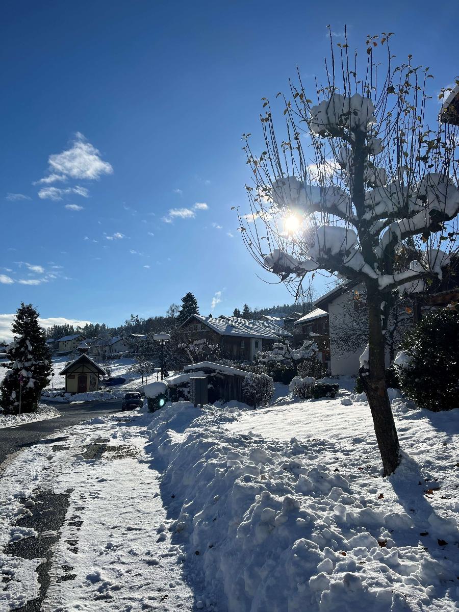 Feriendorf Schwarzholz * - ***** in Viechtach