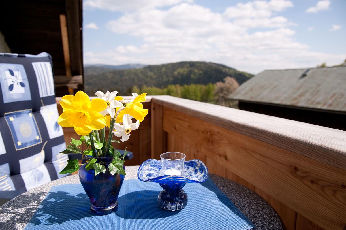 Landhof Steinhütte in Bayerisch Eisenstein