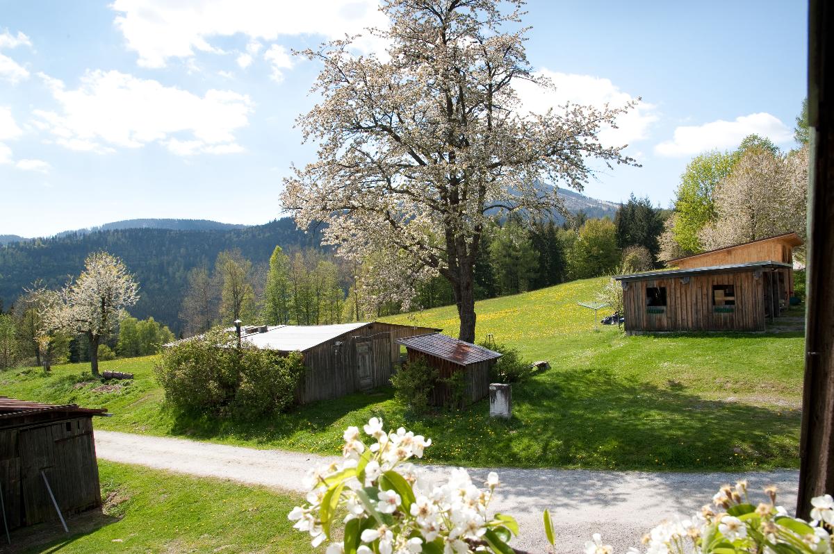 Landhof Steinhütte in Bayerisch Eisenstein