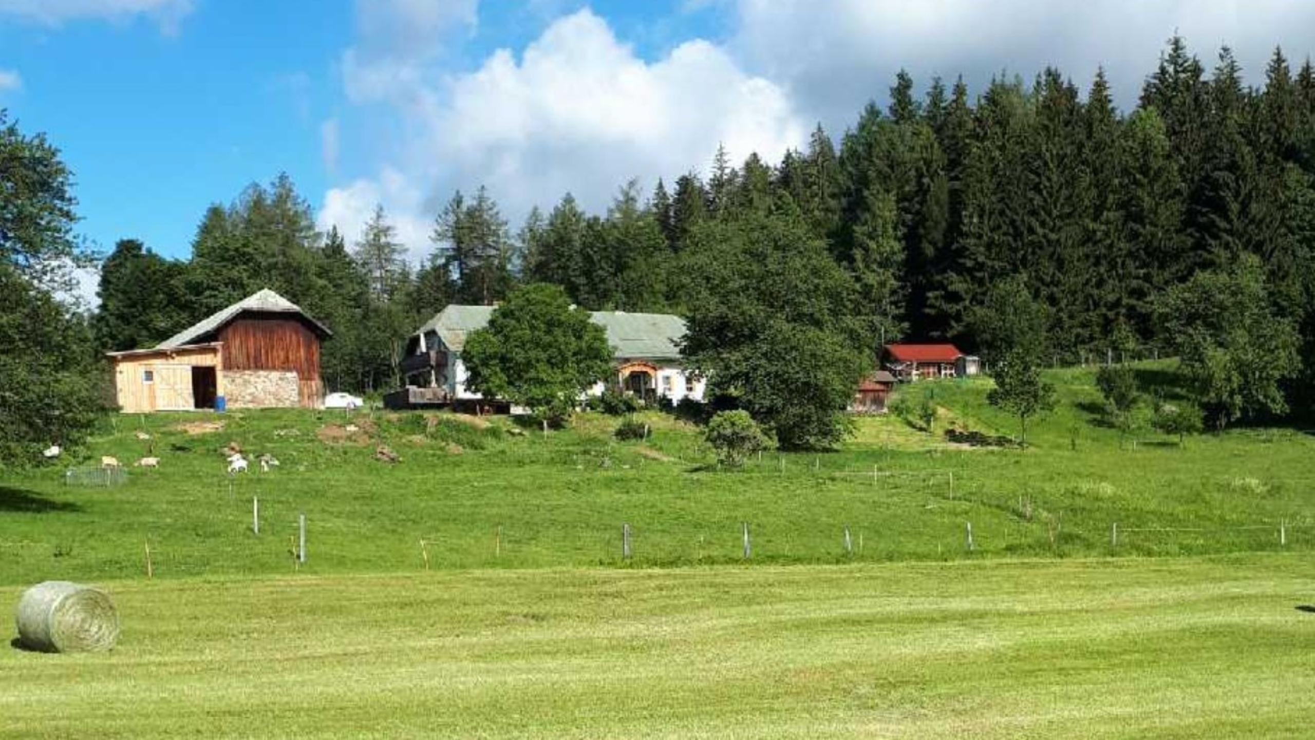 Landhof Steinhütte in Bayerisch Eisenstein