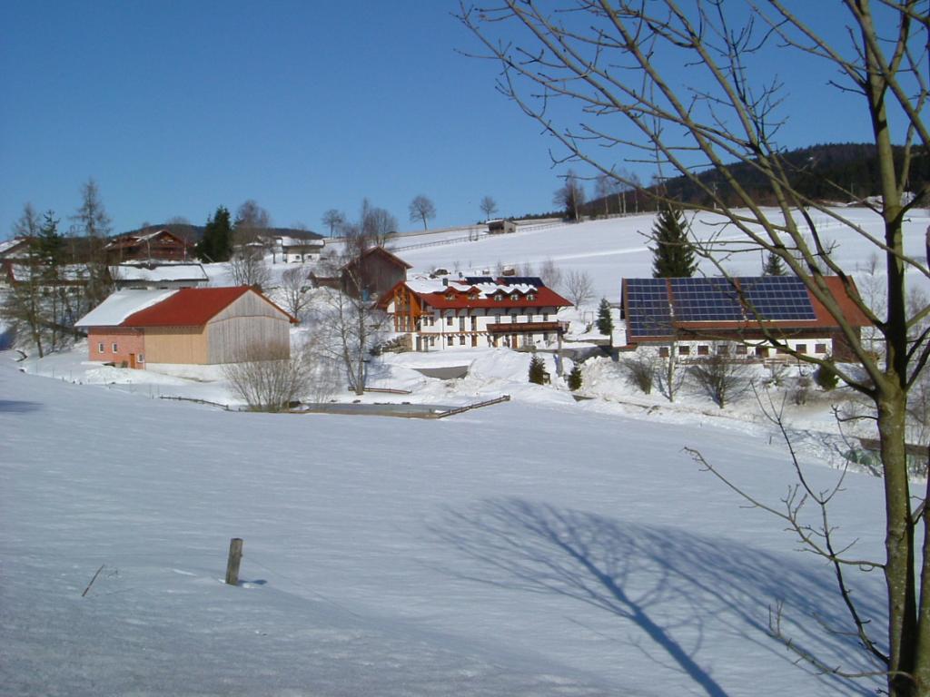 Bauernhof Zollner in Sankt Englmar