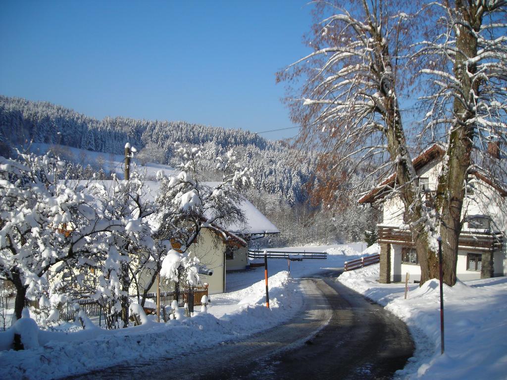 Ferienwohnung Lindenhof in Sankt Englmar