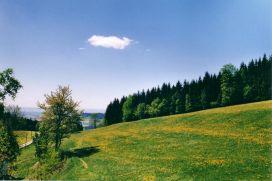 Ferienwohnungen Meinstorfer Hof in Sankt Englmar