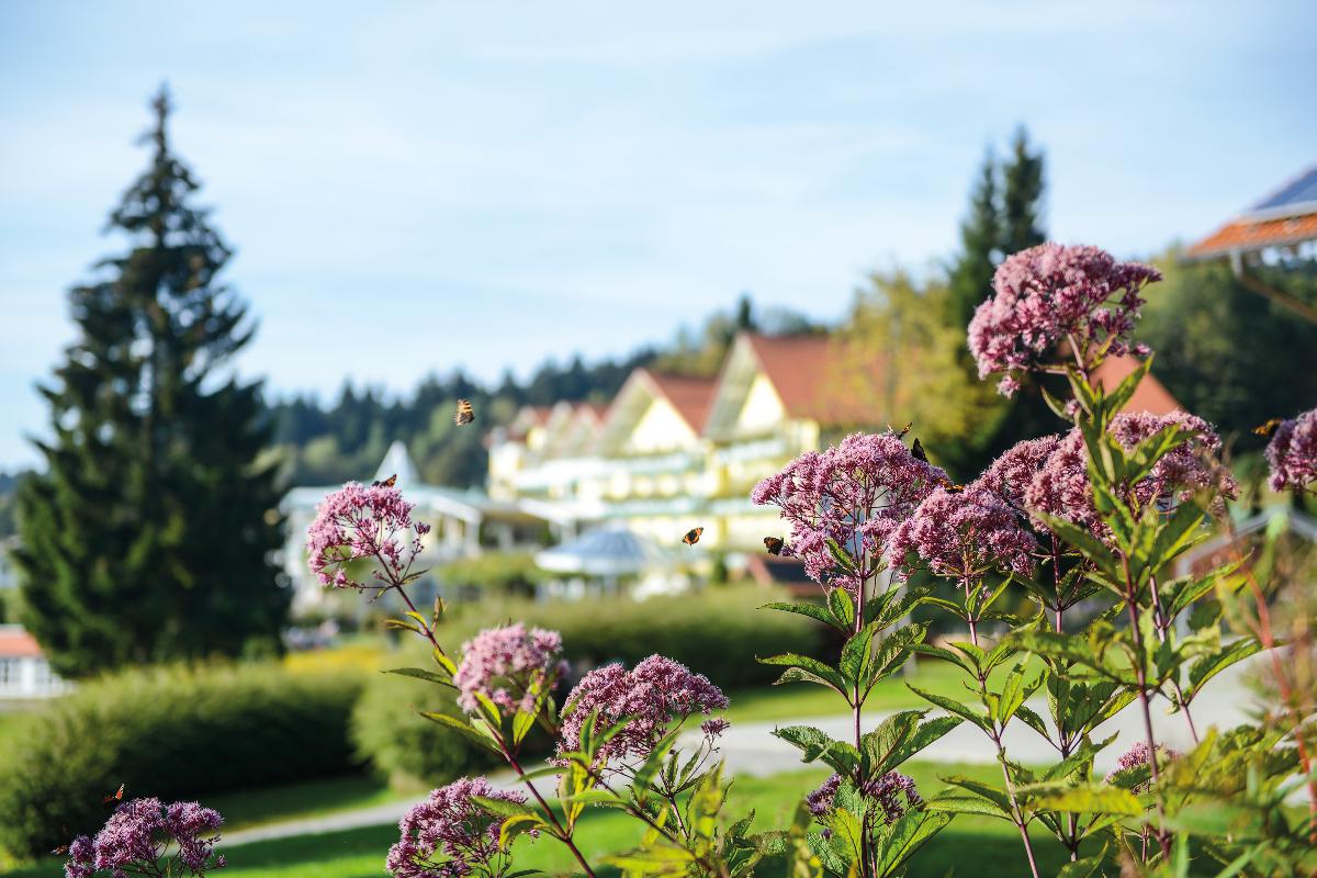 Angerhof Sport- und Wellnesshotel in Sankt Englmar