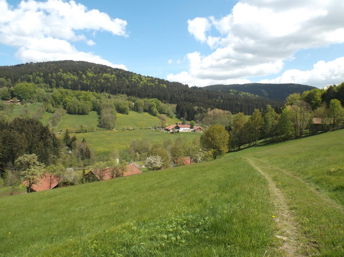 Ferienwohnung Lindenhof in Sankt Englmar