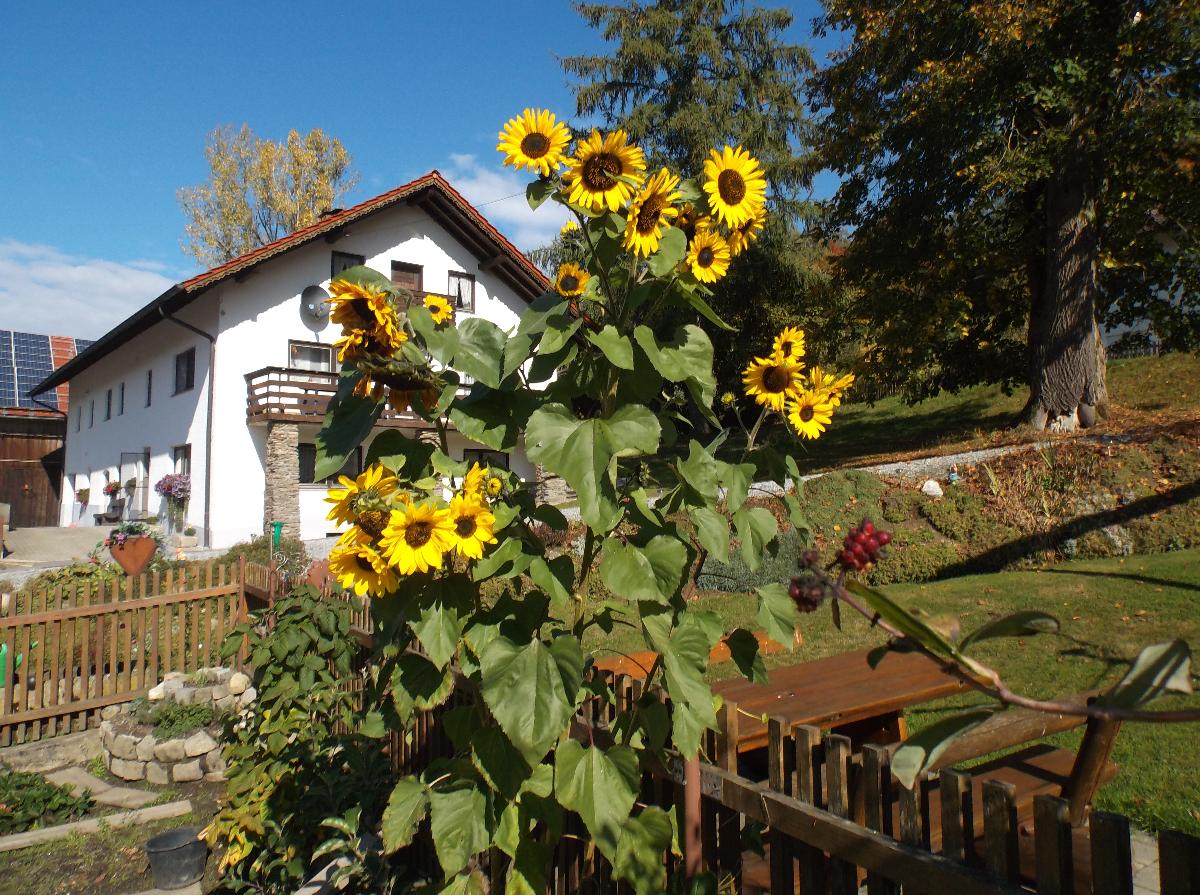 Ferienwohnung Lindenhof in Sankt Englmar