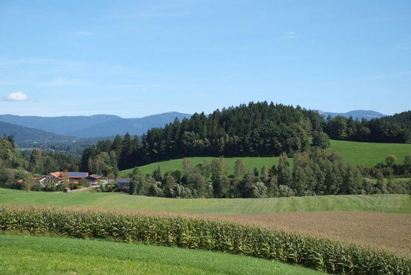 Ferienbauernhof Mehlbach in Kollnburg