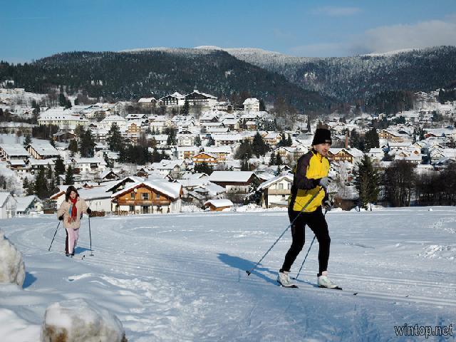 Haus Drei Birken  in Bodenmais