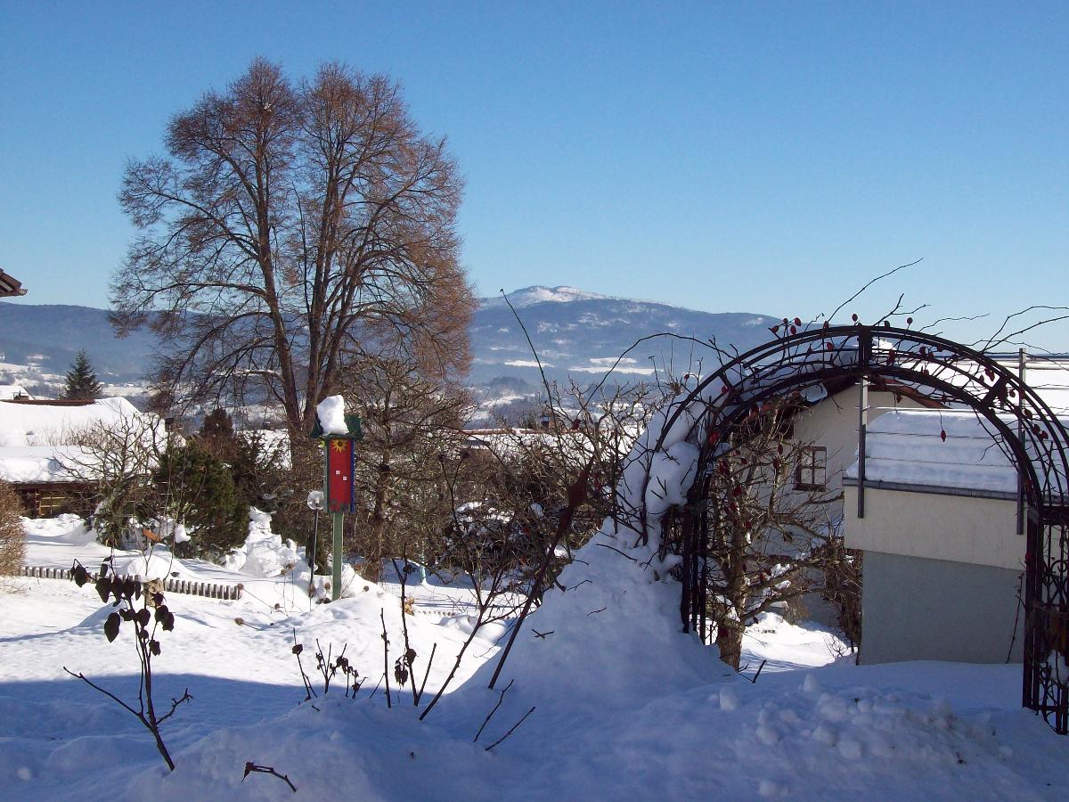 Haus Hollerbusch   in Zwiesel