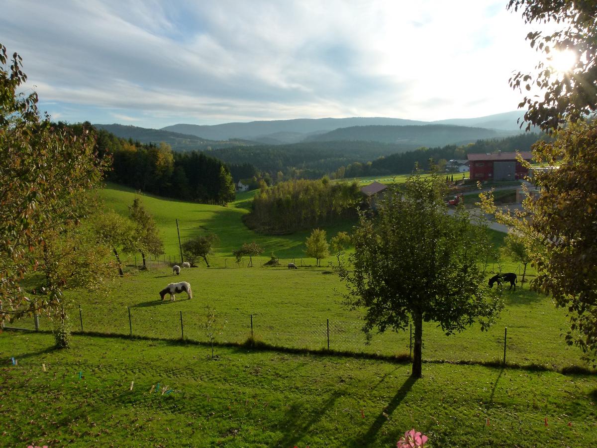 Ferienwohnungen Weghofer **** in Viechtach