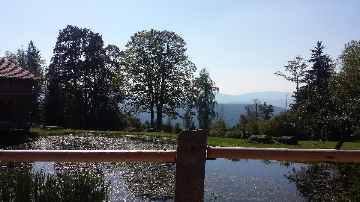 Ferienwohnungen Muhr in Bodenmais