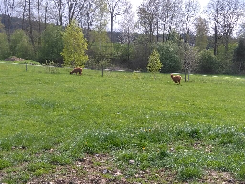 Familie Meimer in Bad Kötzting