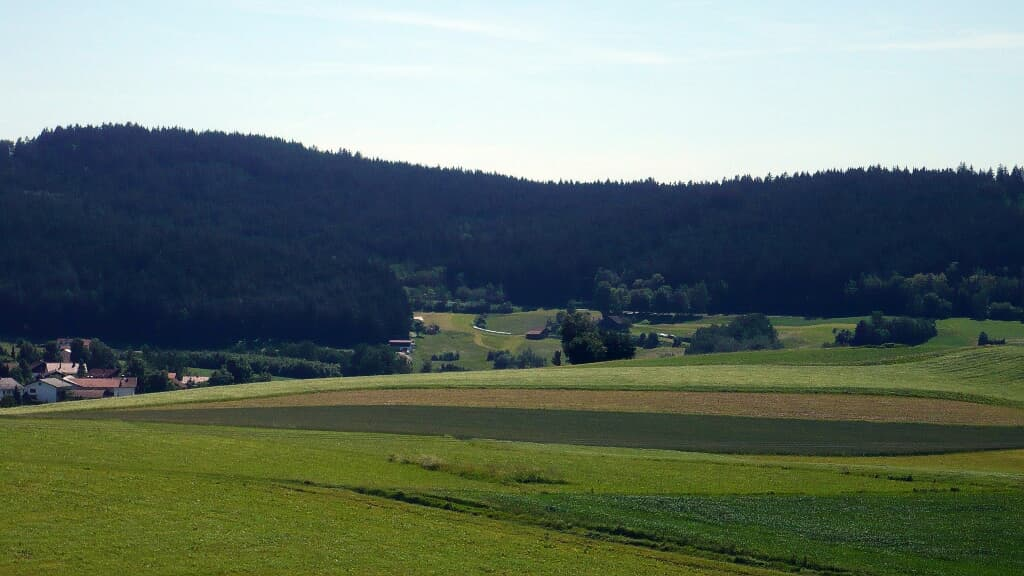 Mühlbauer Christine in Bad Kötzting