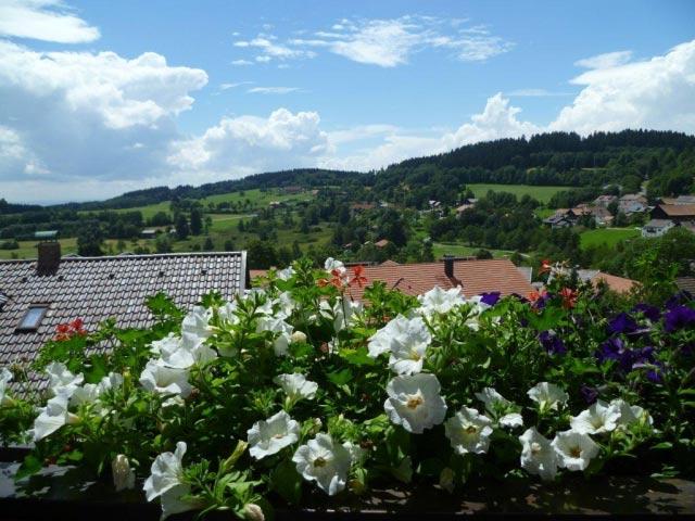 Ferienwohnungen Dorfblick in Sankt Englmar