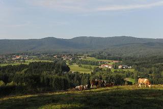 Exenbacher Hof - Pension in Arnbruck