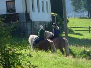 Urlaub auf dem Haberlhof in Lohberg