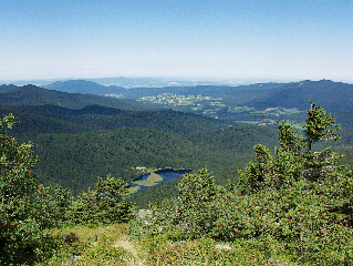 Bayerische Gastwirtschaft Dimpfl-Stadl in Lam