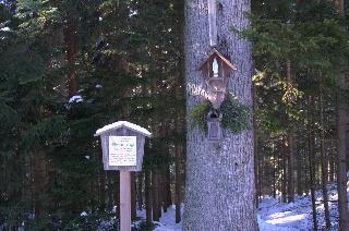 Erlebnispension Zum Wanderer Sepp in Arnbruck