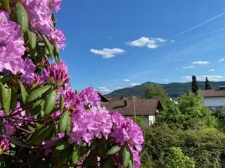 Ferienwohnungen Klausenstein in Bodenmais