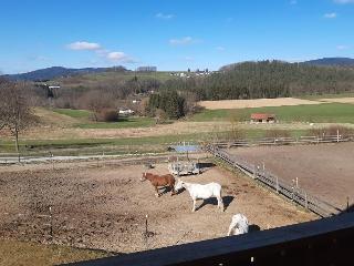 Feriendorf Schwarzholz * - ***** in Viechtach