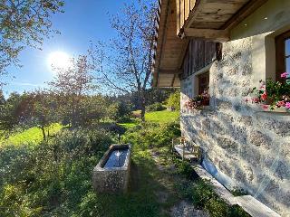 Ferienhaus Klause in Neureichenau