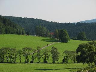 Ferienhaus Meineke  in Regen