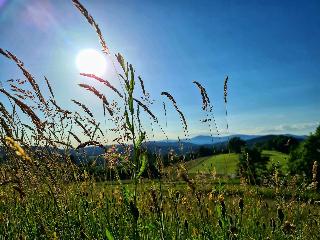 Ferienchalet zum Lusen in St. Oswald