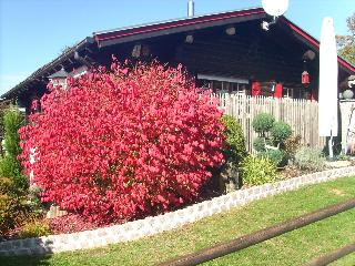 Haus Monika in Waldmünchen