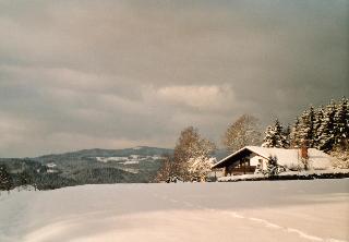 FW Winterer     in Zwiesel