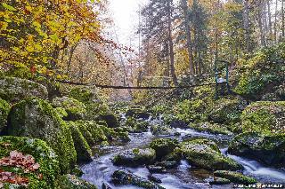 Pension Zum Schmidbäcker in Freyung