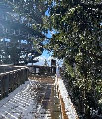 Bergerlebnis Natur pur in Sankt Englmar