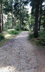 Bergerlebnis Natur pur in Sankt Englmar