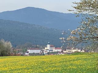 Ferienwohnungen-Riedl in Lam