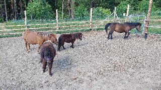 Ferienhof Jägersteig in Waldmünchen