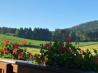 Ferienwohnungen Leithenwald in Zwiesel