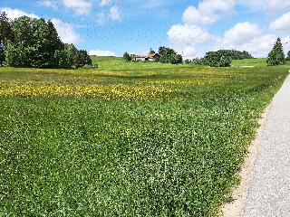 Ferienhaus Degenhardt - Im Urlaub und doch zu Hause in Zandt