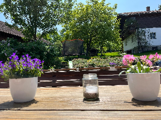 Landgasthof Blasini - Pfahlhof in Zandt