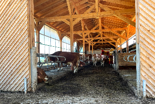 Landgasthof Blasini - Pfahlhof in Zandt