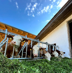 Landgasthof Blasini - Pfahlhof in Zandt