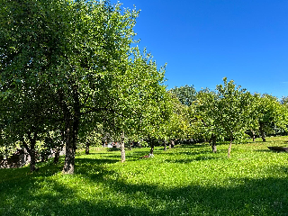 Landgasthof Blasini - Pfahlhof in Zandt