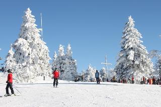 Hütte 19 in Freyung