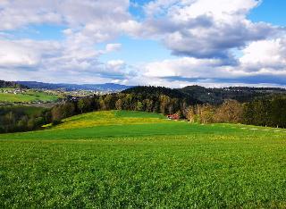 Ferienwohnung am Woid in Waldkirchen