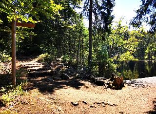 Ferienwohnung am Woid in Waldkirchen