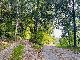 Ferienwohnung Traum am Berg in Zwiesel