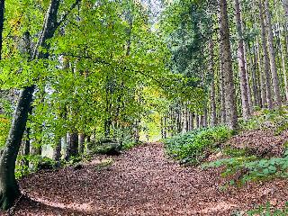 Ferienwohnung Traum am Berg in Zwiesel