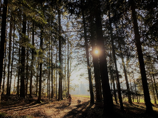 Feriendorf Büchelberg in Windorf